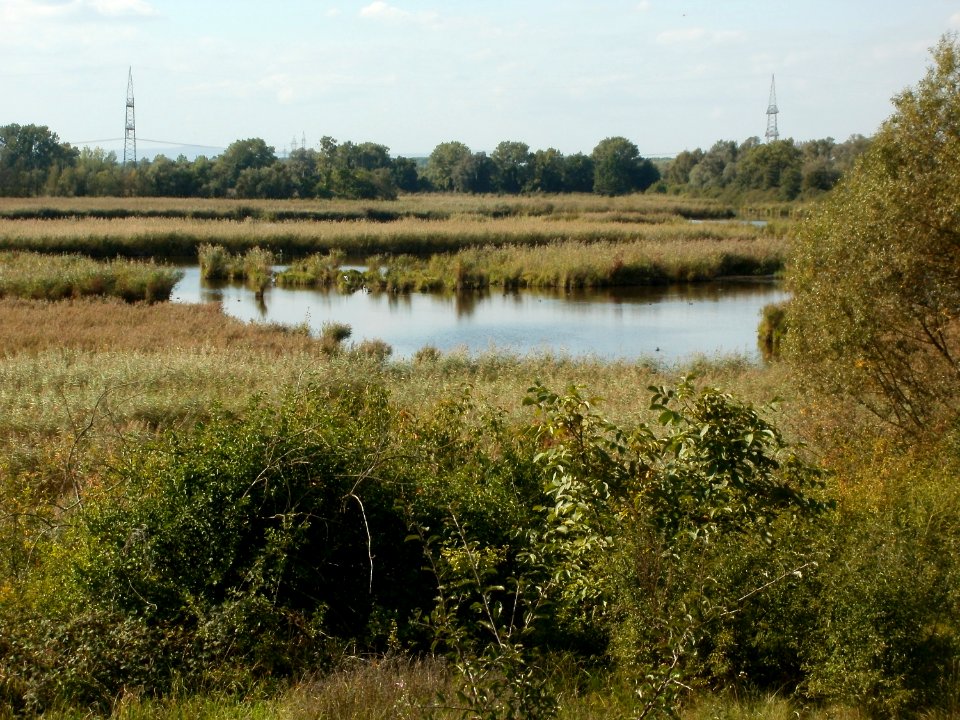20110923Wagbachniederung2