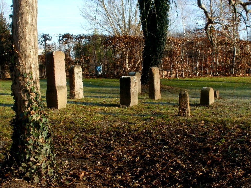 20111211Hockenheim06
