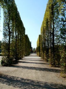 20110925Arkadenallee_Schwetzingen