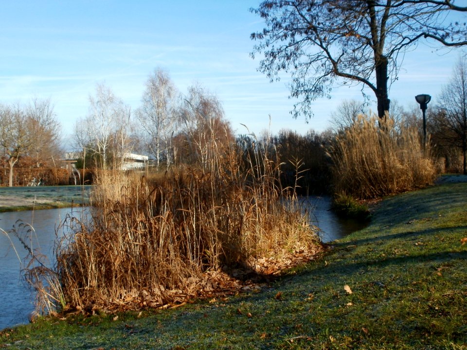 20111211Hockenheim04