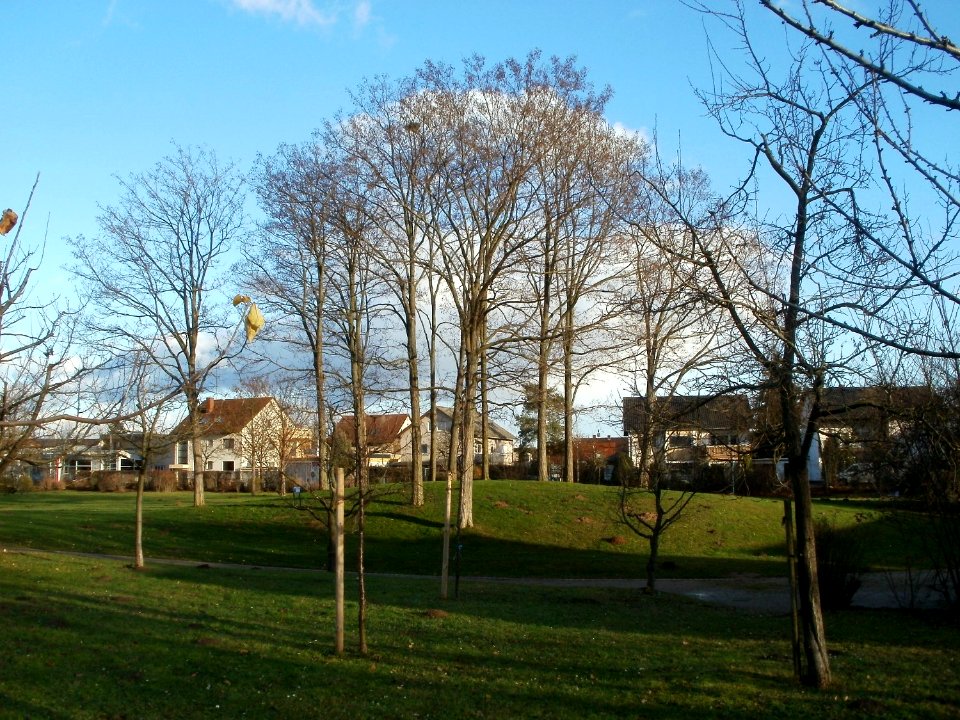 20111214Hockenheim4