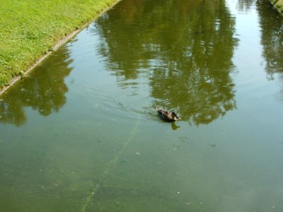 20110925Orangeriegarten_Schwetzingen4