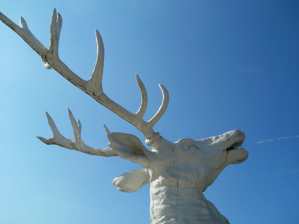 20110925Hirschgruppe_Schwetzingen5