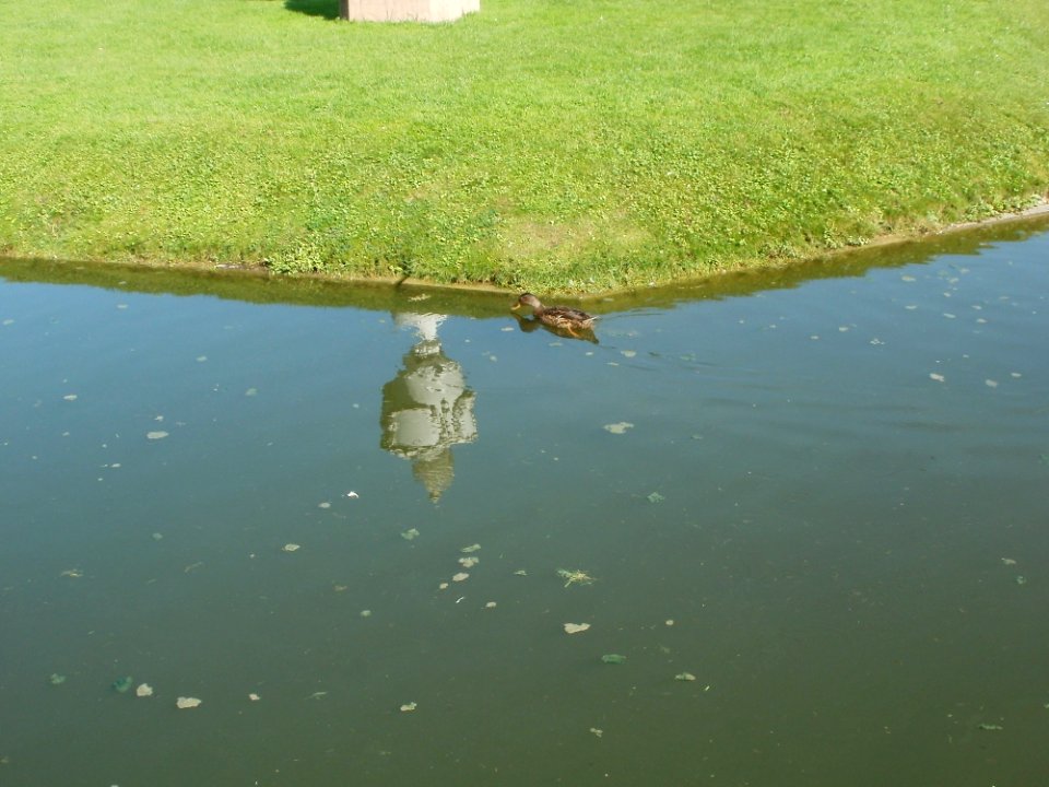20110925Orangeriegarten_Schwetzingen2
