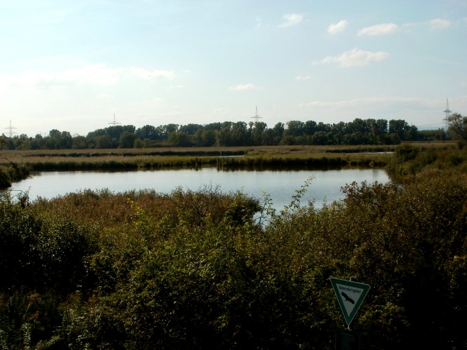 20110923Wagbachniederung1