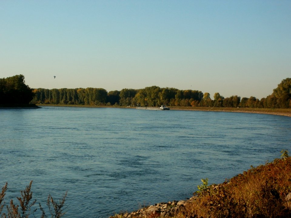 20110930Rhein_Altlussheim2
