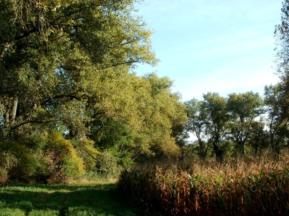 20110929Rheinhausen2