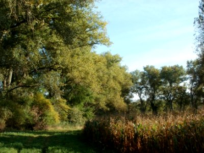 20110929Rheinhausen2