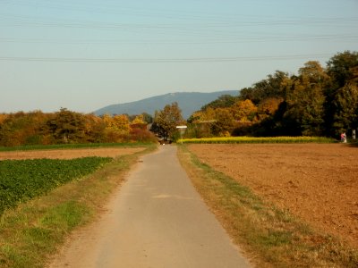 20111001Schlossachse_Schwetzingen1