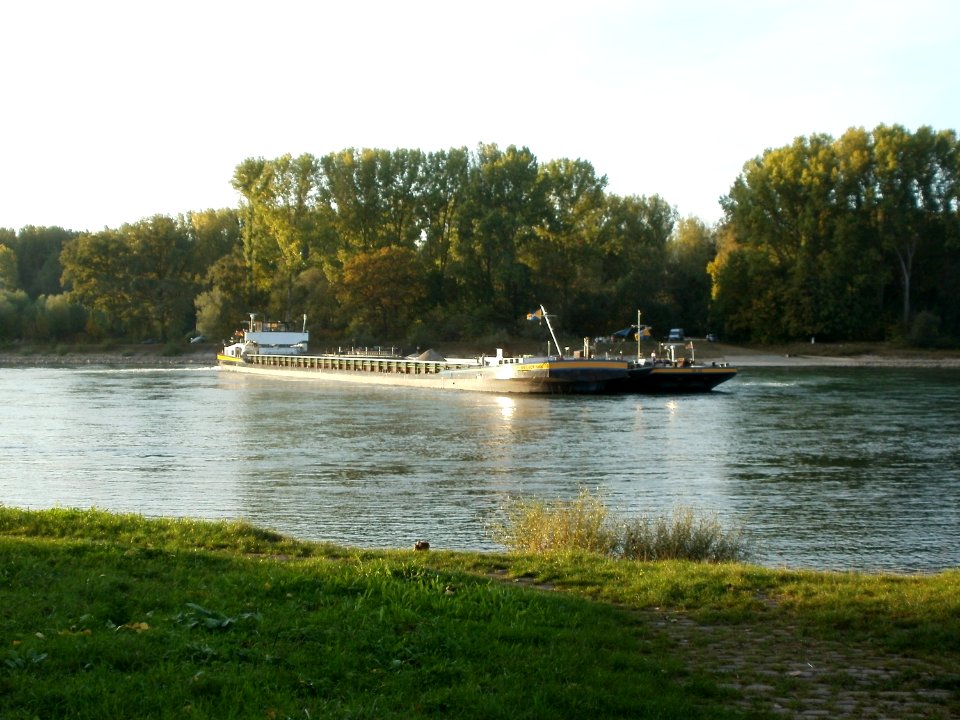 20110929Schiffswendemanoever_Rheinhausen1