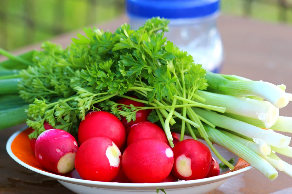Plate red root crop