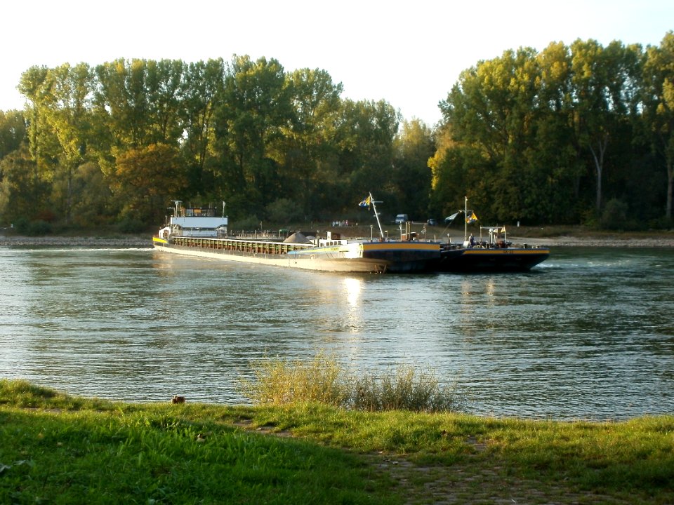 20110929Schiffswendemanoever_Rheinhausen2