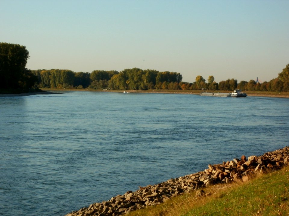 20110930Rhein_Altlussheim1