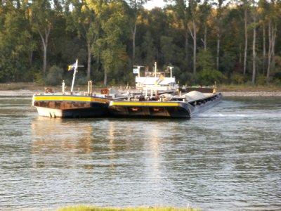 20110929Schiffswendemanoever_Rheinhausen5