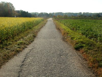 20111001Schlossachse_Schwetzingen4