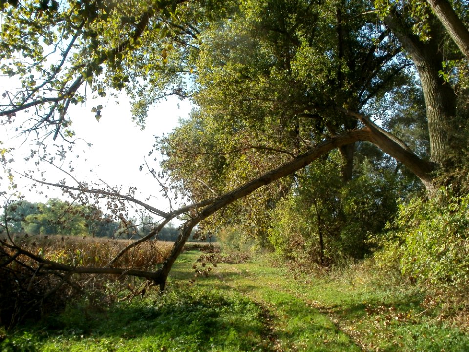 20110929Rheinhausen1