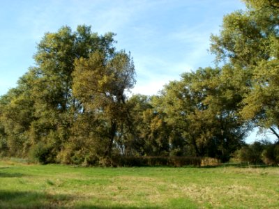20110929Rheinhausen3