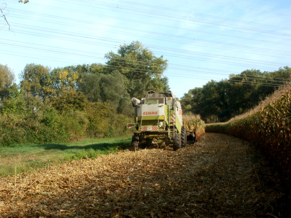20110929Maisernte_Rheinhausen09