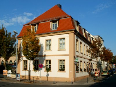 20110927Wilde_Mann_Schwetzingen1