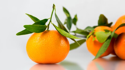Vitamins healthy citrus fruit photo