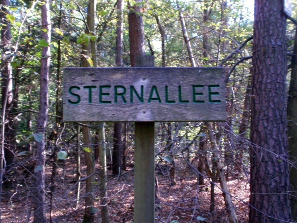 20110926Sternallee01