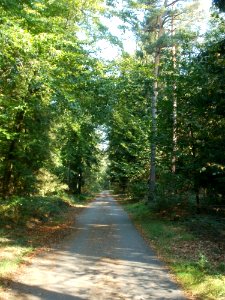 20110926Sternallee02