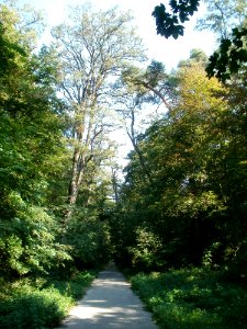 20110926Sternallee03