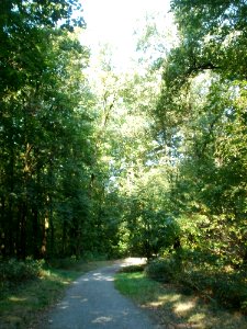 20110926Sternallee04