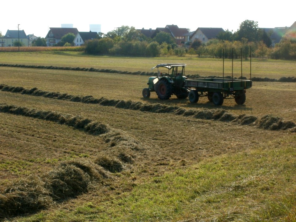 20110926Heuernte_Rheinhausen