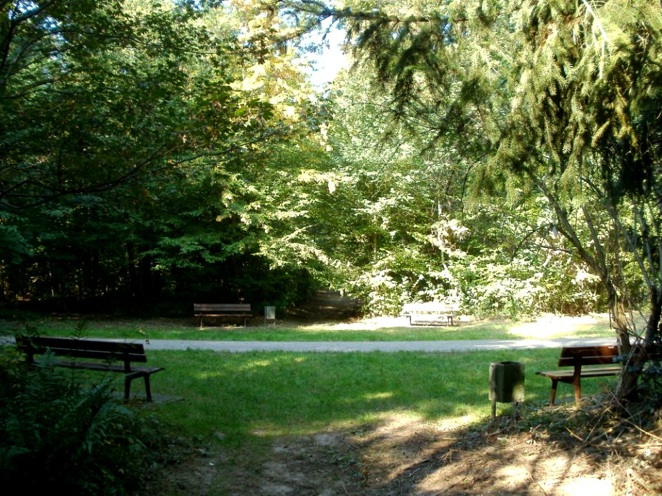 20110926Sternallee10