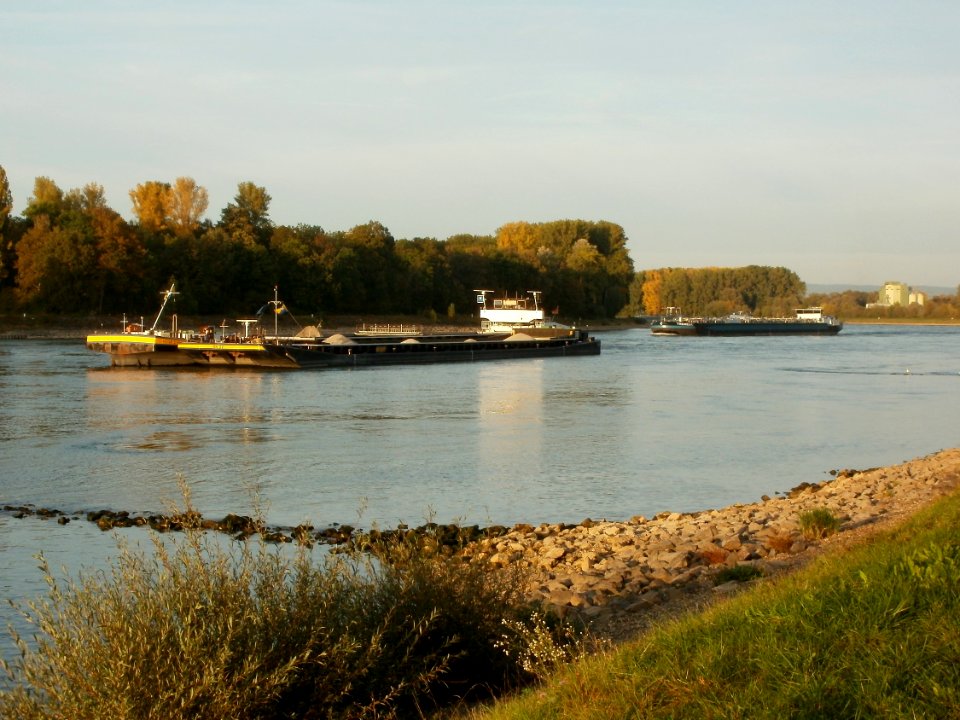 20110929Schiffswendemanoever_Rheinhausen7