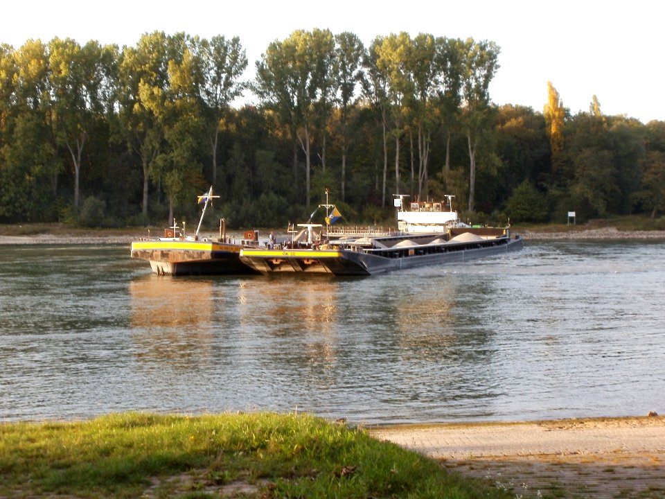 20110929Schiffswendemanoever_Rheinhausen6