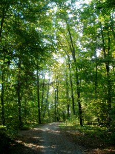 20110926Sternallee08