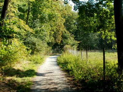 20110926Sternallee06