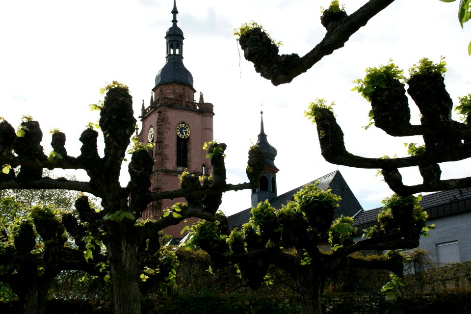 2012.09.24.160946_St._Peter_und_Paul-Kirche_Eltville
