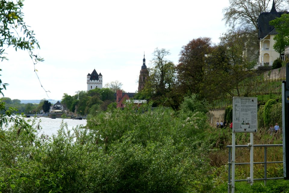 2012.09.24.144202_Aussicht_Eltville