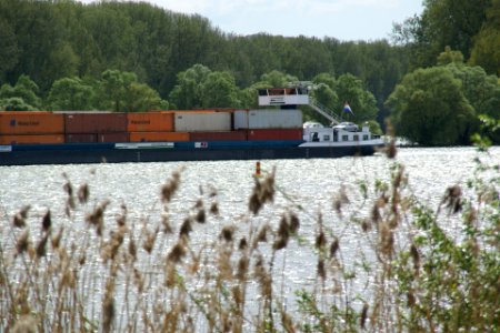 2012.09.24.143104_Schiff_Container_Rhein_Walluf