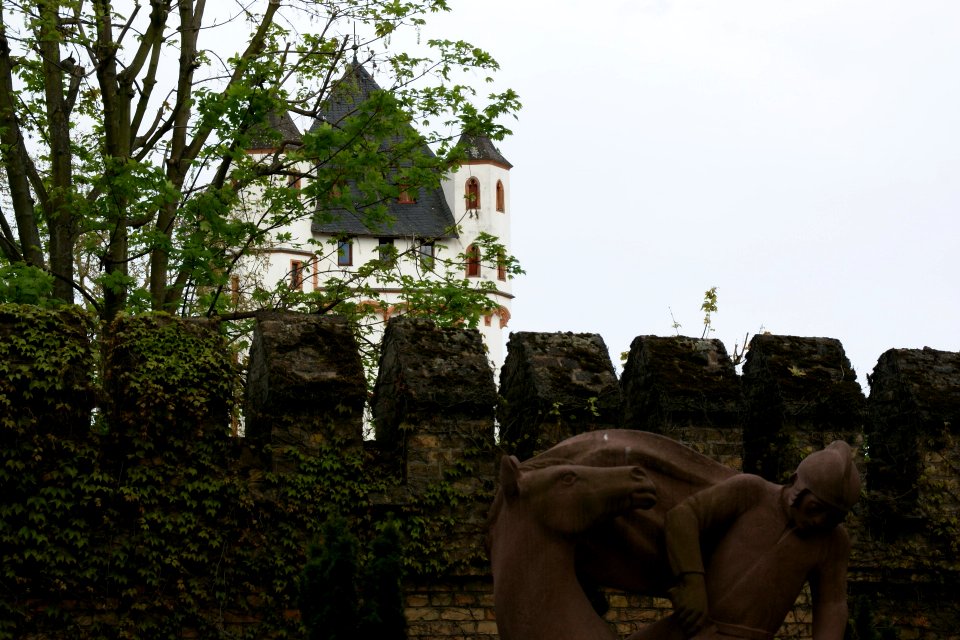 2012.09.24.155759_Burg_Eltville