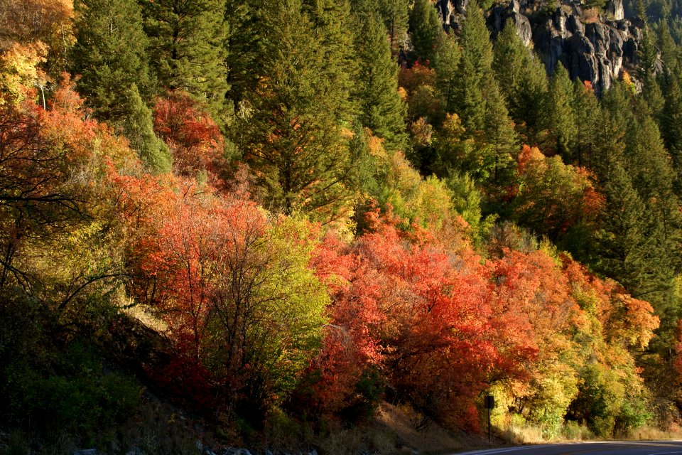 2012.09.30.164916_Indian_Summer_US89_Logan_Utah