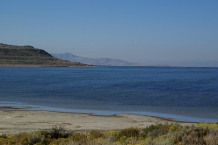 2012.10.01.100010_Great_Salt_Lake_Antelope_Island_Utah photo