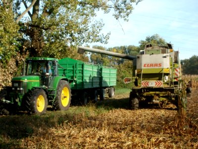 20110929Maisernte_Rheinhausen05