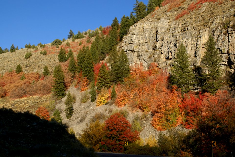 2012.09.30.164434_Indian_Summer_US89_Hyde_Park_Utah
