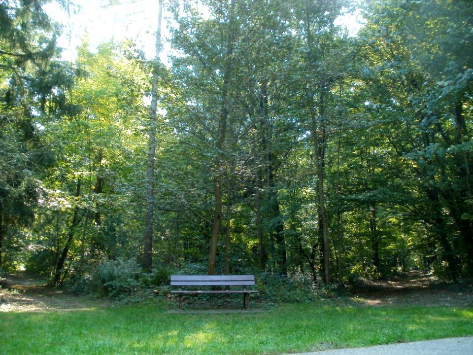 20110926Sternallee13