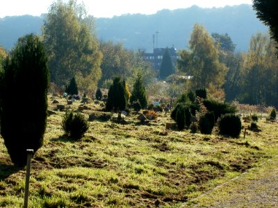 20111016Tierfriedhof_Saarbruecken2