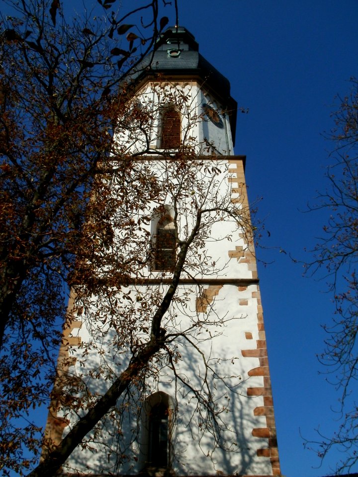 20111003St_Georg_Speyer1