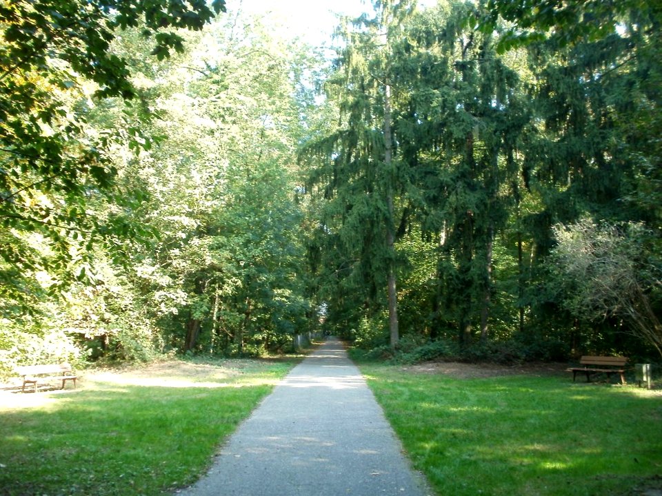 20110926Sternallee11