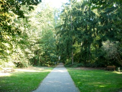 20110926Sternallee11