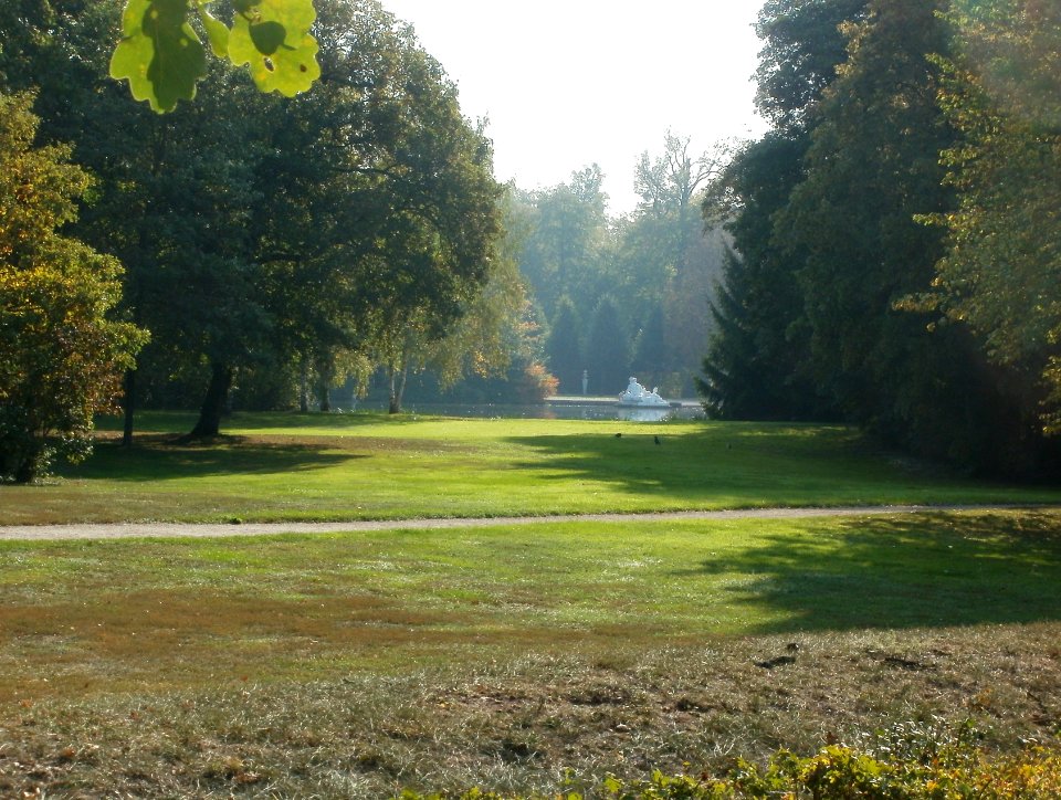 20110927Grosser_Weiher_Schwetzingen