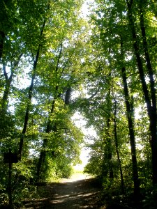 20110926Sternallee09