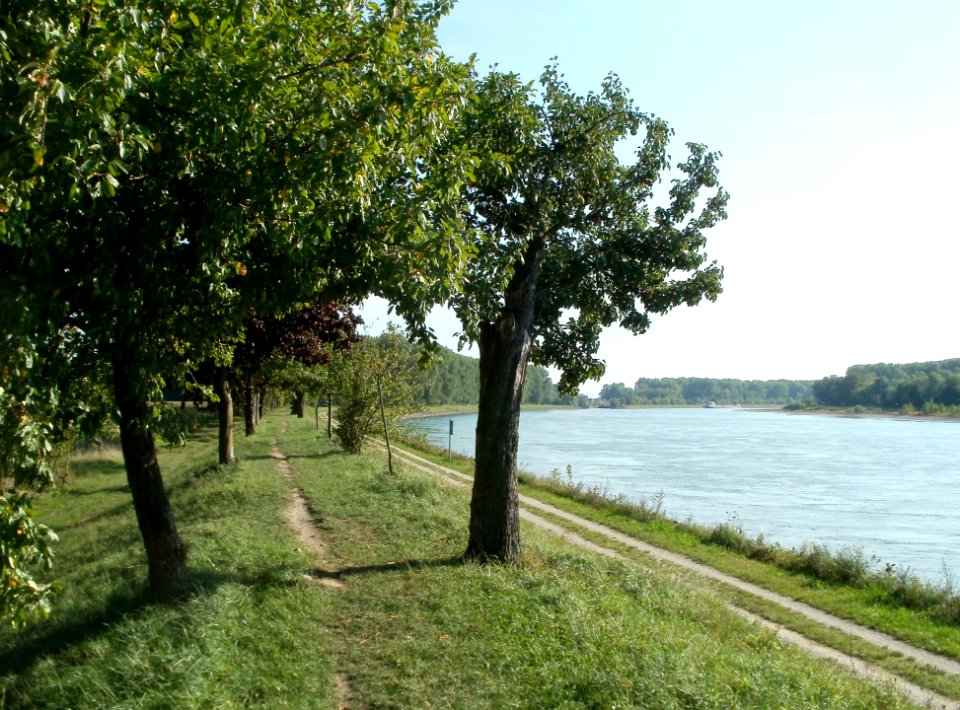 20110915Altlussheim33